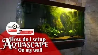 How do i setup Aquascape on my wall aquarium