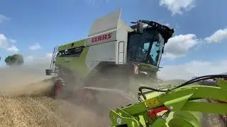 Moisson 2021