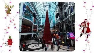 🇨🇦  114ft Christmas Tree 🎄 Eaton Centre Toronto Crowd Timelapse #christmas -TorontoRise