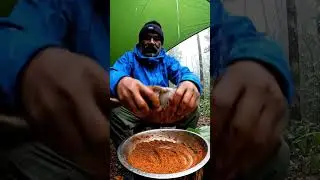campinglife #rainyforest #cinematicvideo #outdoorcooking #grilledfish #naturevibes #soloescape