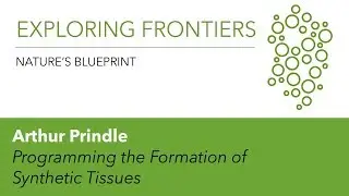 Arthur Prindle | Emergent Metabolic Dynamics in Microbial Communities