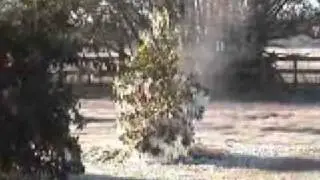 Hard Freeze in Florida