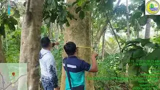 Tree Inventory