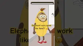 Meet the Amazing Asian Elephant! #monkeybanana #animation #animalfacts #elephant #wildlife #cartoon