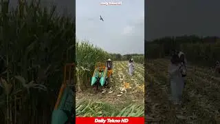 Mini Corn Harvester is a Game Changer! 🚜 #CornHarvest