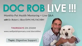 Digestive Support in Pets | Doc Rob Live with Dr. Rob Silver