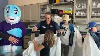 Young Patients Dive into Animal Care for National Dolphin Day at the Aquarium of the Pacific