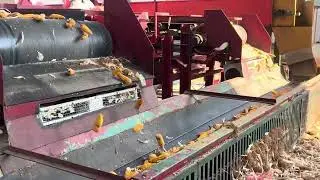 Corn Cob Dryer plant husk removal by Air blow mechanism