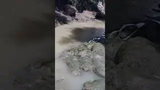 IKANNYA LAHAP,,HANYA DENGAN UMPAN CACING,,#mancing #mancingmania #fishing #microfishing #videoshort