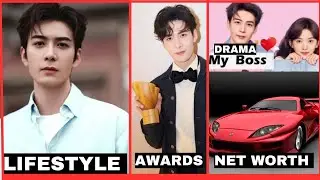 Chen Xing Xu Lifestyle/Biography (2025)