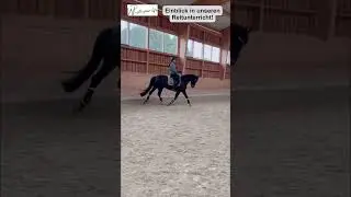 Diagonale Reiterhilfen- ein kurzer Einblick in unseren Reitunterricht. Dein Pferd korrekt reiten!