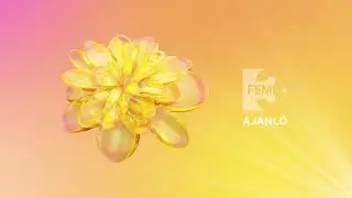 FEM3 [2016] Idents Compilation