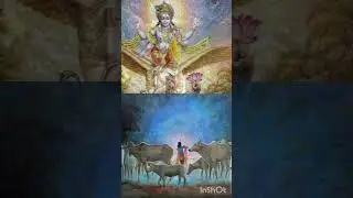ಆವ ಕುಲವೋ ರಂಗಾ ಅರಿಯಲಾಗದು | What caste are you O Ranga!