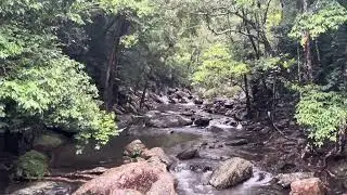 Stoney Creek rainforest walk near Cairns #nature #australia #rainforrest 