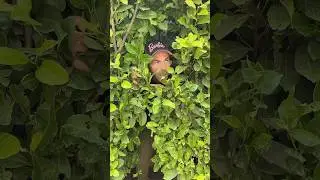 JE M&rsquo;APPELLE JOSIANE PICHET 🍃 #youtubecreatorcommunity