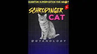 QUANTUM SUPERPOSITION क्या है🤔?? || #shorts #gyanology || @gyanology9682 ||