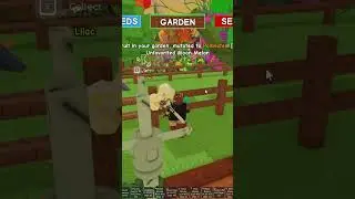 Ile kosztują OGROMNE Moon Melony w Grow a Garden?! 🌙🍉 Wynik SZOKUJE! 😱