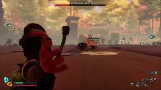 Bombardier Beetle fight with a Sprig Bow LV  1 Tough and Buggy