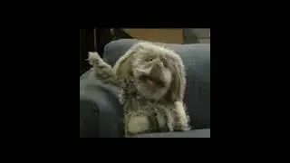 Unhappily Ever After: The World Needs Mr. Floppy&acute;s Help! You Won't Believe What Happens in This Clip