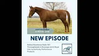 167: Thoroughbreds in Dressage and A Royal Line by Kentucky Performance Products