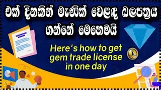 එක් දිනකින් මැණික් වෙළඳ බලපත්‍රය ගන්නේ මෙහෙමයි | Here's how to get gem trade license in one day