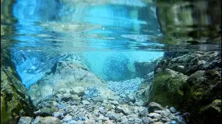 Underwater Sounds 10 Minutes | 🎧 Underwater Ambience Sound Effect