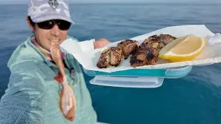 The Best On The Water Lunch - Offshore Snapper Fishing and Catch and Cook!