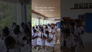 Ананда Балика Видьялая Коломбо 10 - Семинар по изучению бизнеса ❤️Обсуждение блока управления опе...