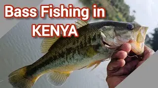 20 Most Asked Questions About Bass Fishing in Kenya (Answered by a Kenyan Angler)
