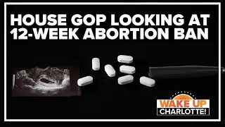 House GOP looking at 12-week abortion ban
