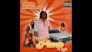 Mr. Sche - Real Pimps Don't Take 396 Hz