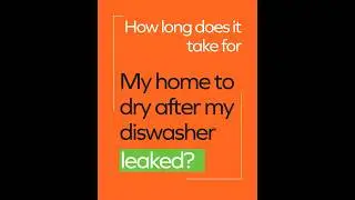 How long does it take to dry my home after a dishwasher leak?