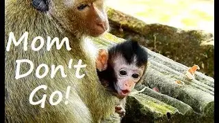 Little baby Cry sad face lost mom | Daniela Dry face call mom back in chest Jill.