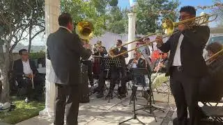 Polka la panzona 