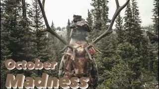 Idaho Rifle Elk 2023 | October Madness