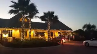 Warmwhite Holiday lighting services R&R Decorative Landscape