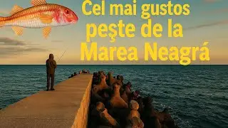 Barbunul, cel mai gustos peste de la Marea Neagra