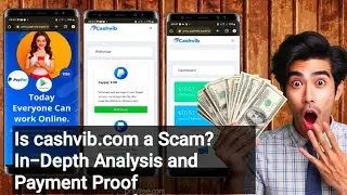 Cashvib.com Review: Scam or Legit? Uncovering the Truth - Login Sign up