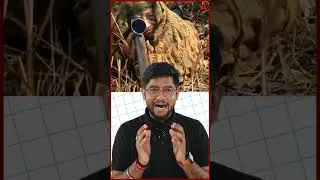 BSF 1st Female Sniper #clat #clataspirant #clat2025 #army #lawyer #news