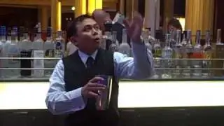 Celebrity Solstice Martini Bar