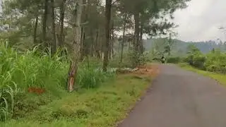 Village atmosphere in the Reban Batang Plateau, Central Java | Beautiful Village