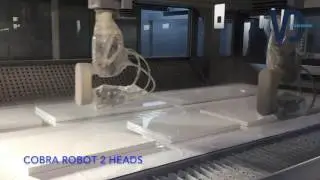 VD COBRA, THE ART OF FINISHING
