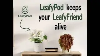 Mock ad for LeafyPod v.2