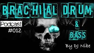 Brachial Drum & Bass Podcast 012 by DJ Nibe