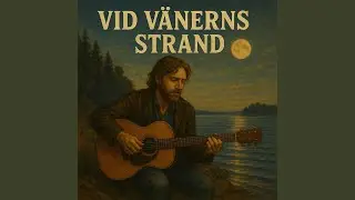 Vid V&auml;nerns strand