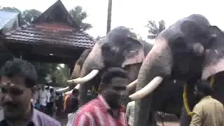 Thiruvampady Gajapooja 2012 Part 5