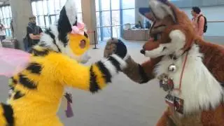 FC 2013 - Oh Bee-have