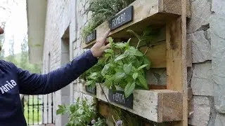 C&oacute;mo hacer un huerto de plantas arom&aacute;ticas con palets - Bricoman&iacute;a