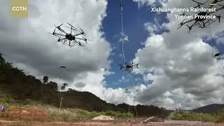 High-tech construction meets wildlife protection in Yunnan