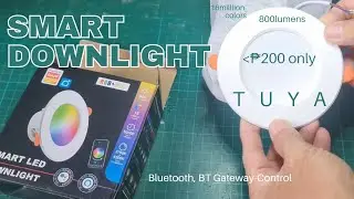 This Cheap Smart Downlight Works But... | Tuya-Based Lamp 